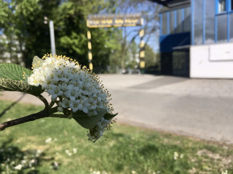 Ouverture de saison
