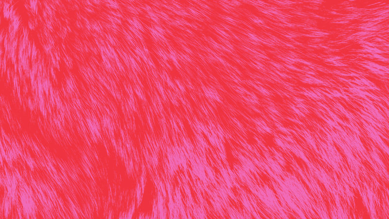 Photo de Ouverture de saison 25-26