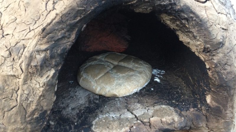 Photo de Four à pain : récolte 3