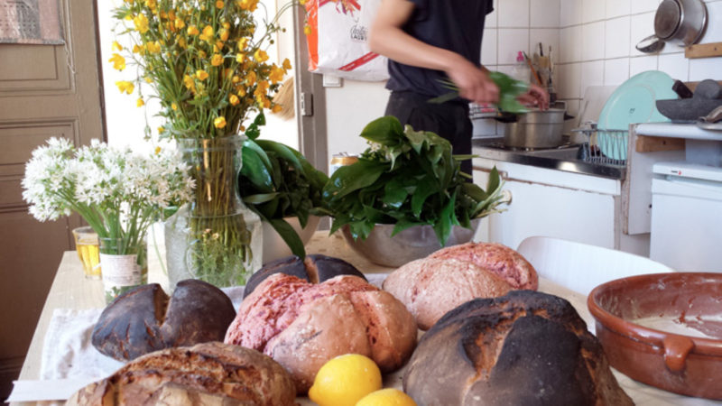 Photo de Four à pain : récolte 2