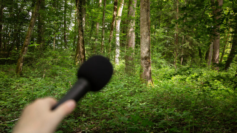 Photo de Le nom du monde est Białowieża